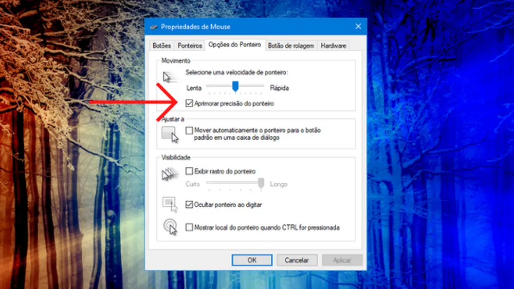Para desabilitar, abra o painel de controle e desmarque a opção "aprimorar precisão do ponteiro" — Foto: Reprodução/Vitória Bernardes